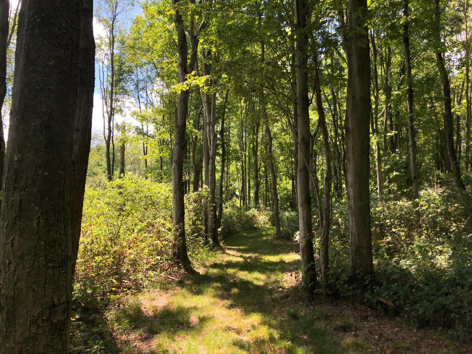Oak Lodge Stahlstown Zewnętrze zdjęcie